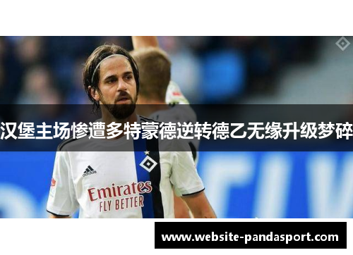 汉堡主场惨遭多特蒙德逆转德乙无缘升级梦碎
