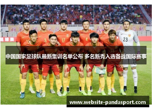 中国国家足球队最新集训名单公布 多名新秀入选备战国际赛事