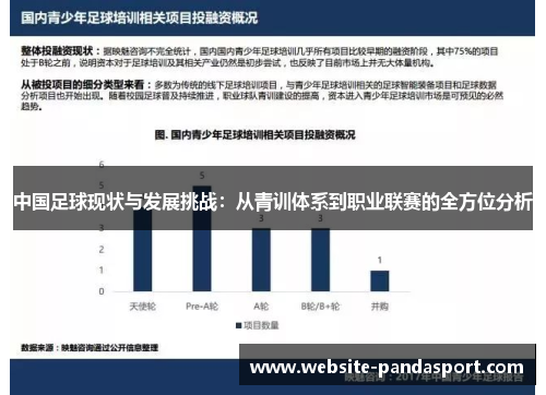 中国足球现状与发展挑战：从青训体系到职业联赛的全方位分析