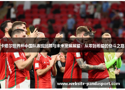 卡塔尔世界杯中国队表现回顾与未来发展展望：从零到希望的奋斗之路